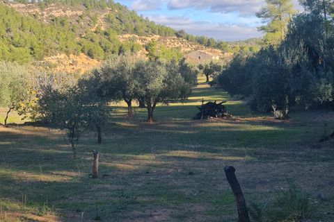 Landejendom i Asco, Tarragona, Asco - € 29.000 | Ref: 1003 Pasco - foto 22